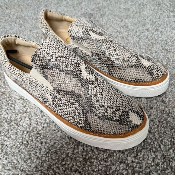New with box | Ccocci Dream shoe - Picture 1 of 6